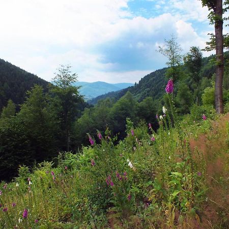 Chata Udolicko Perstejn Bagian luar foto